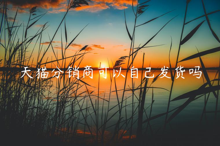 天貓分銷商可以自己發(fā)貨嗎